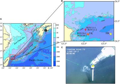 Atypical Diagenesis and Geochemistry of Redox-Sensitive Elements in Hydrothermal Sediments of the Southern Okinawa Trough